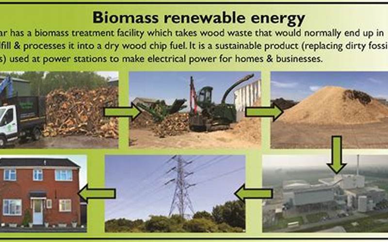 What Is Biomass And How Is It Used For Renewable Energy?