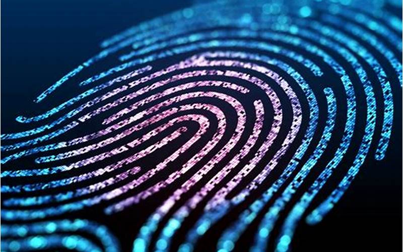 What Is Biometric Data And Why Is It Important?