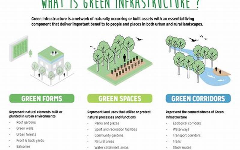 What Is Green Infrastructure And Why Is It Important?