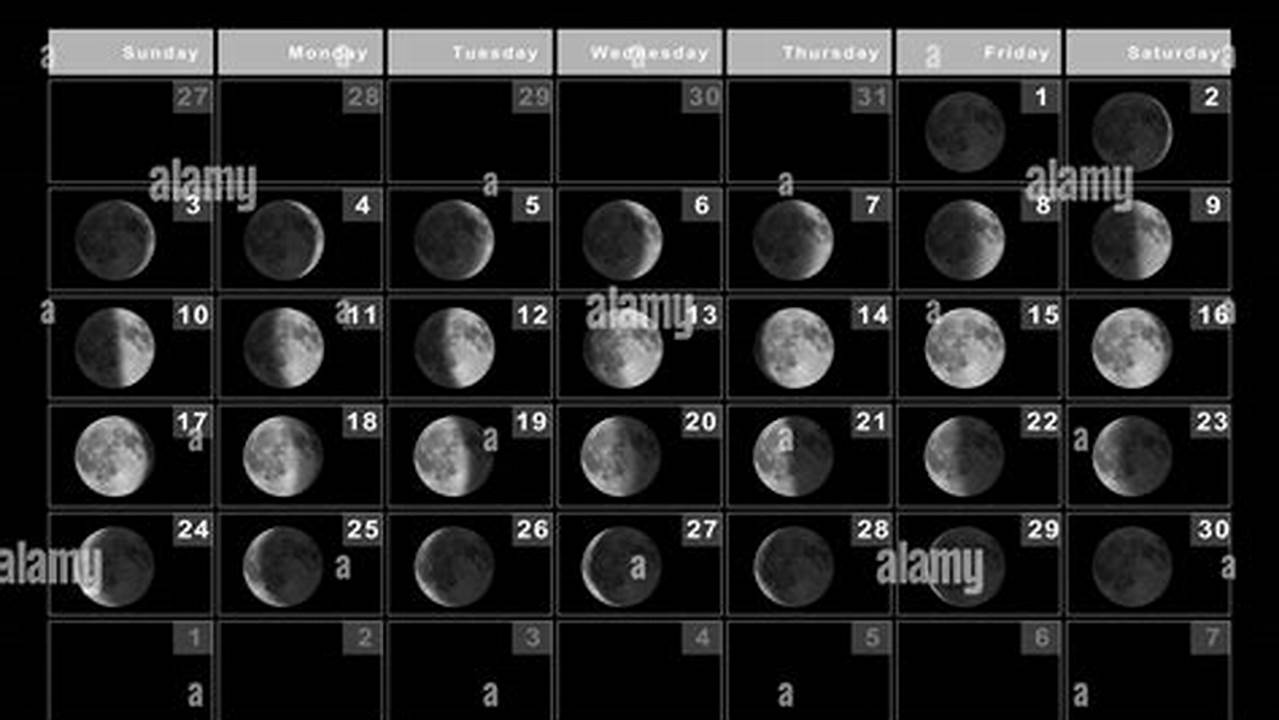 What Is Happening On November 1 2024