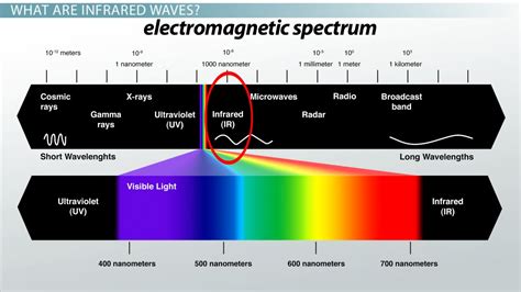 What Is Infrared Light?