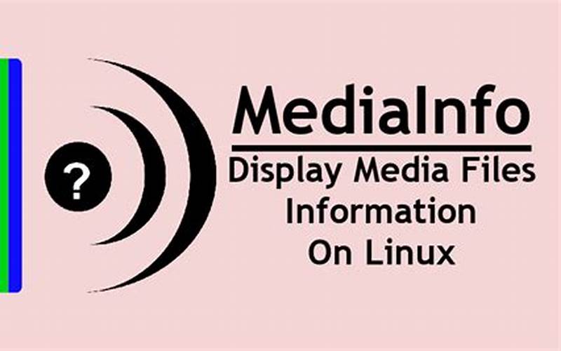 What Is Mediainfo Used For