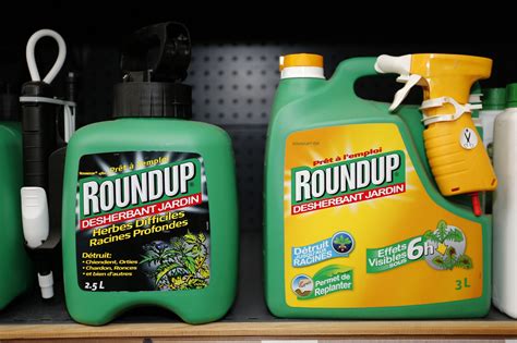 What Is Roundup?