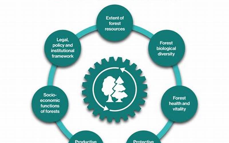 What Is Sustainable Forest Management?