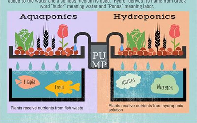 what is the difference between aquaponics and hydroponics