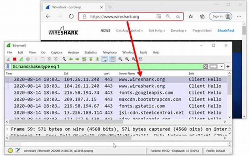 What Is Wireshark