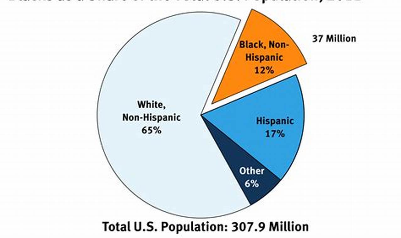 What Percentage Of The Us Population Is Black 2024