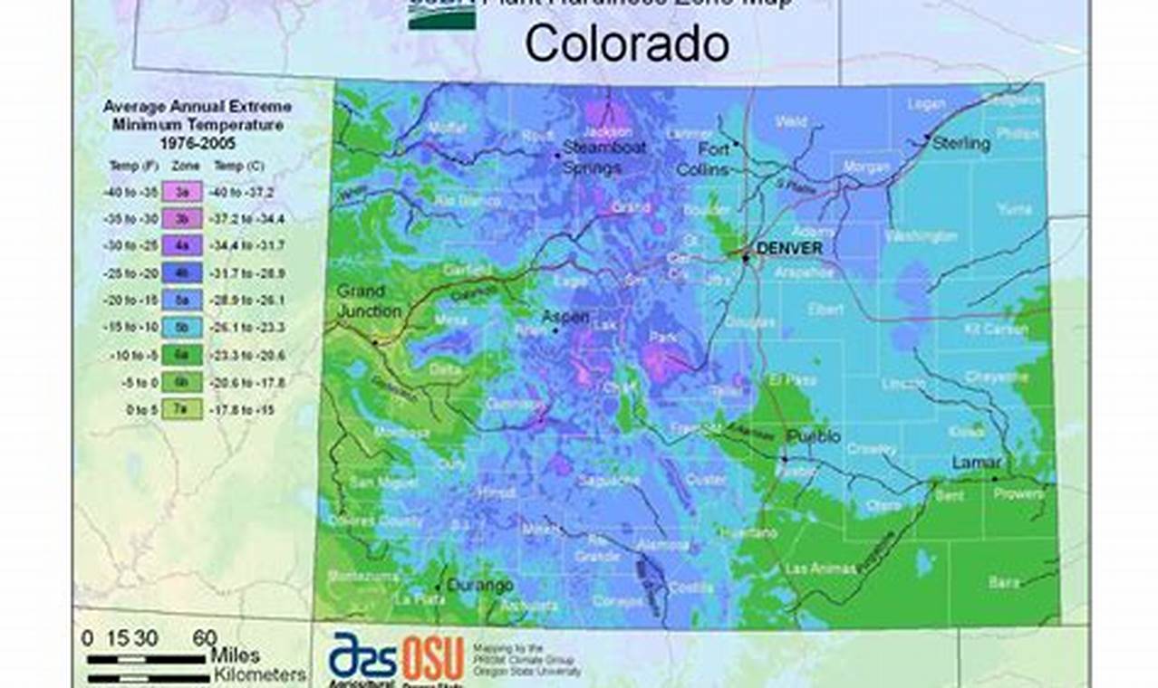 What Planting Zone Is Colorado