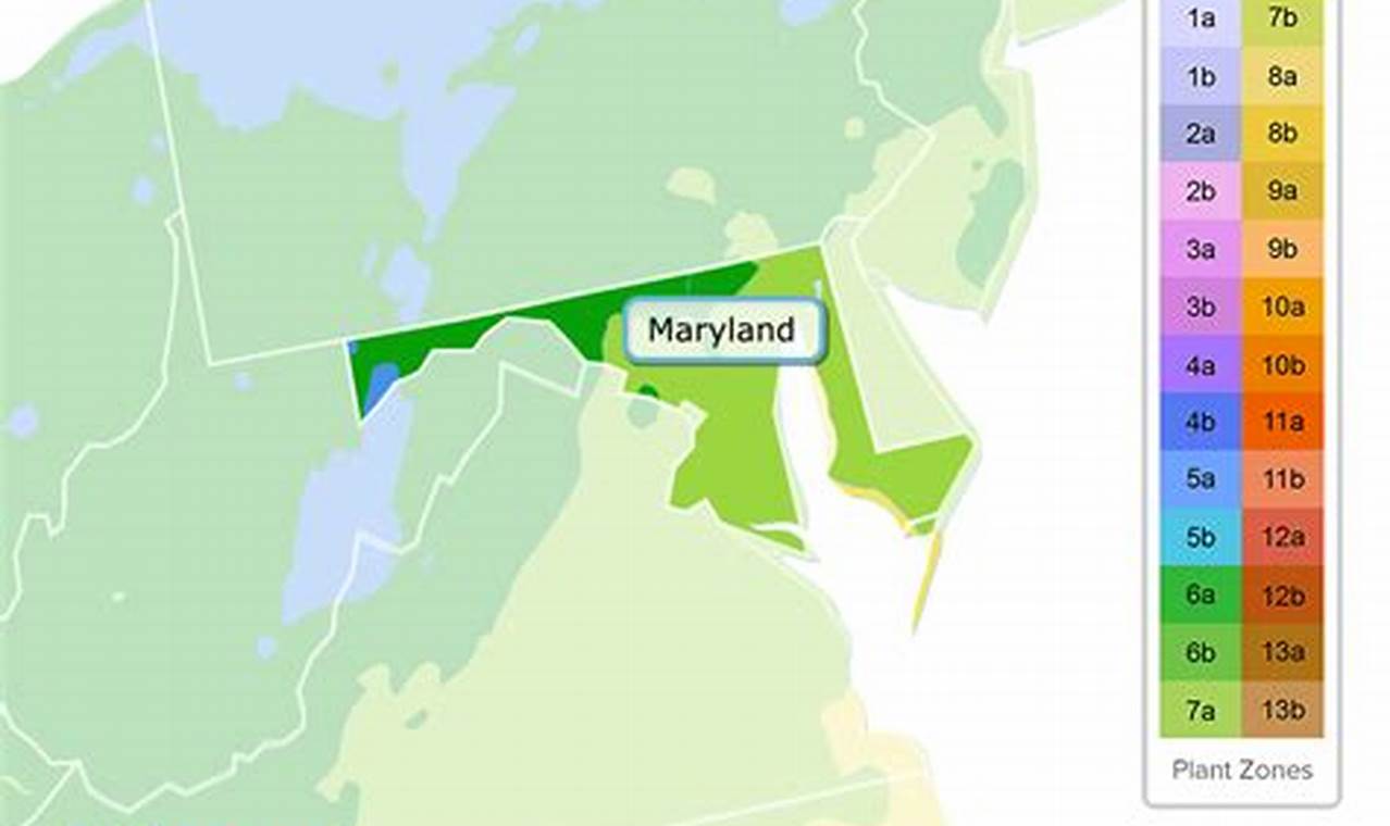 What Planting Zone Is Maryland