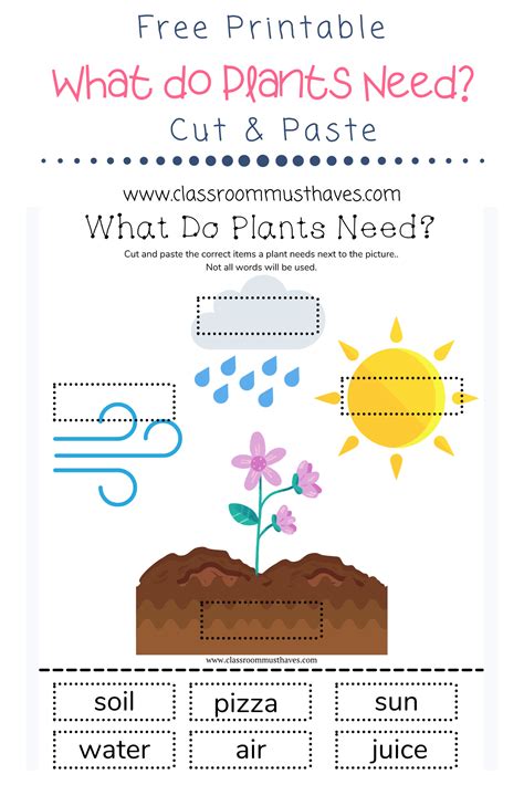 What Plants Need To Grow Worksheet
