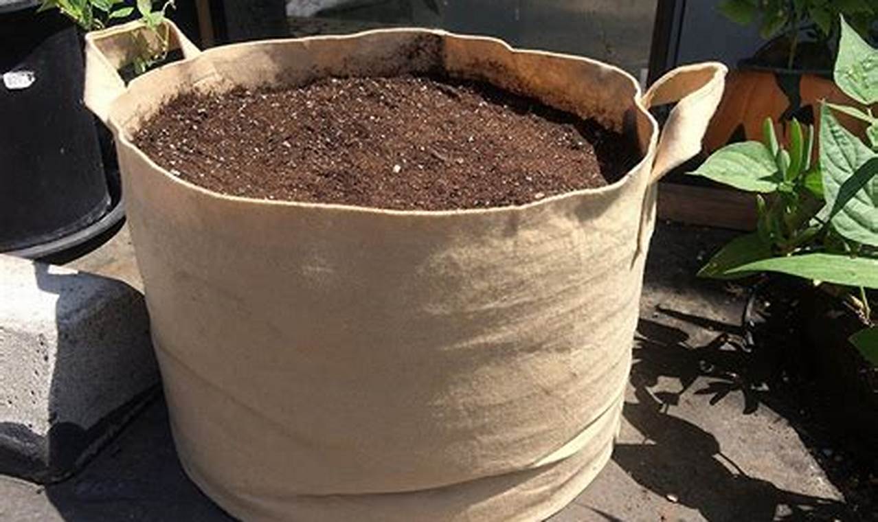 What Size Fabric Pots For Weed