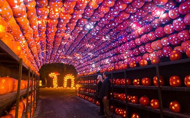 What To Expect At The Great Jack O Lantern Blaze