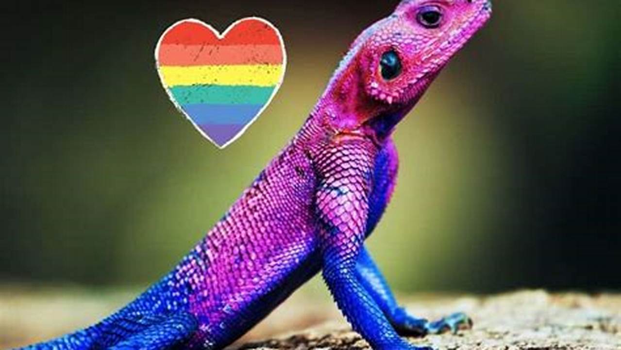 What Type Of Lizard Changes Colors