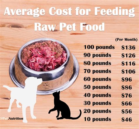 What Type of Dog Food Should I Buy?