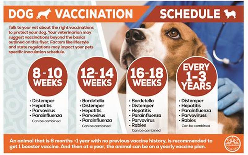 What Vaccinations Does Travel Clinic Long Island Offer