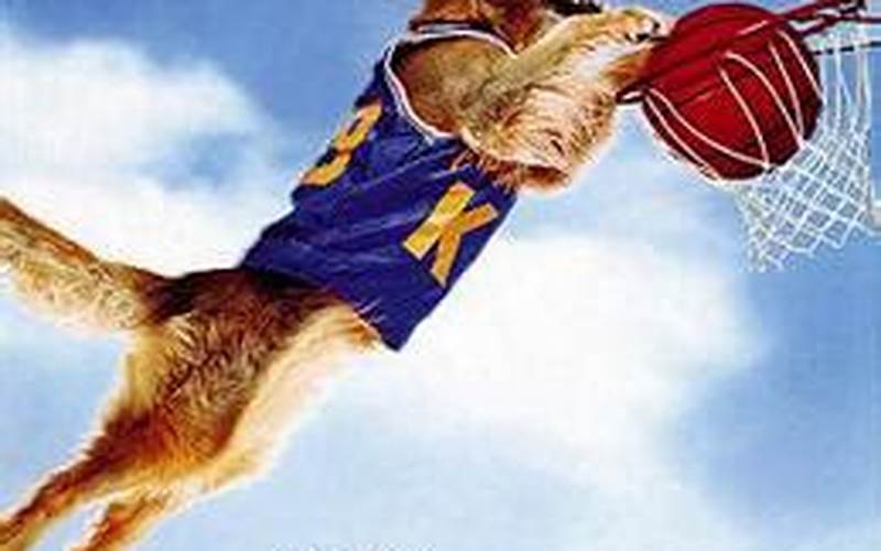 What Was The Budget Of Air Bud?