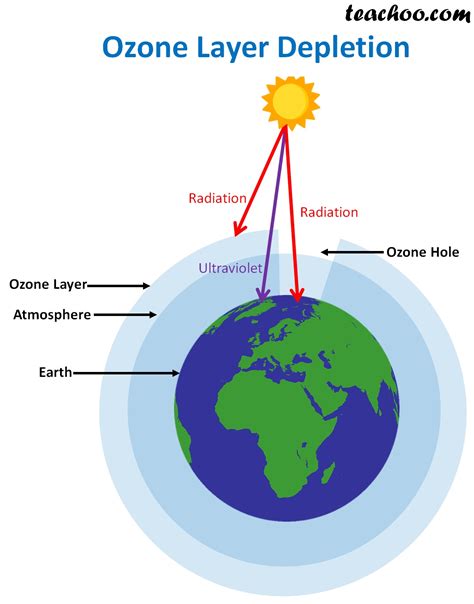 What are the Effects of Ozone Layer Depletion?
