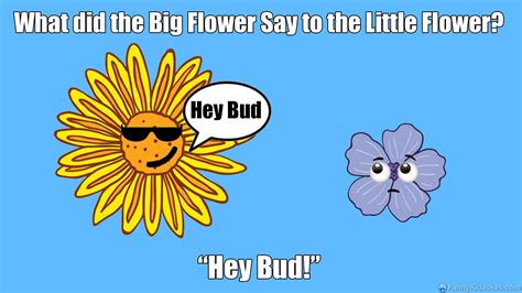 What did the big flower say to the little flower?