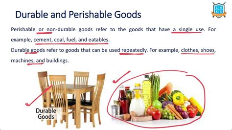 What is Expendable and Non-Expendable Items?