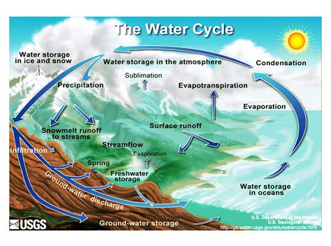 What is The Transportation of Water in the Water Cycle?