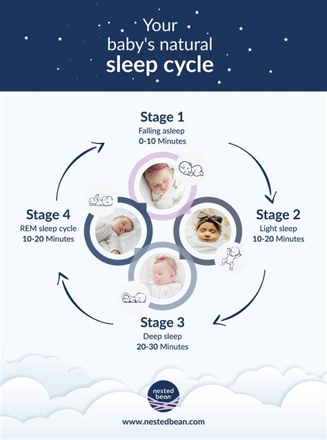 Unveiling the Mysteries: Future Research Directions in Infant Sleep and Development