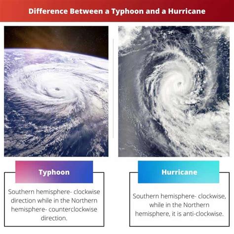Unraveling Nature's Fury: The Distinctive Characteristics Between Typhoons and Hurricanes