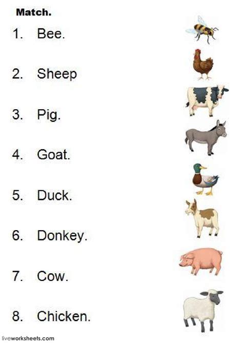 What'S In A Name Animal Farm Worksheet Rewritten