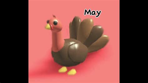 What Adopt Me Pet Of Roblox Are You Based On Your Birth Month 