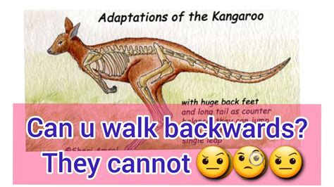 Discover the Fascinating Fact: Which Animal Cannot Walk Backwards?