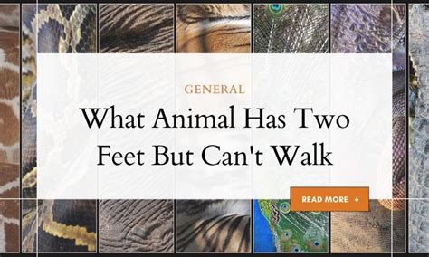 Discovering the Unusual: A Fascinating Insight into the Animal Kingdom's Two-Legged Creatures that Cannot Walk