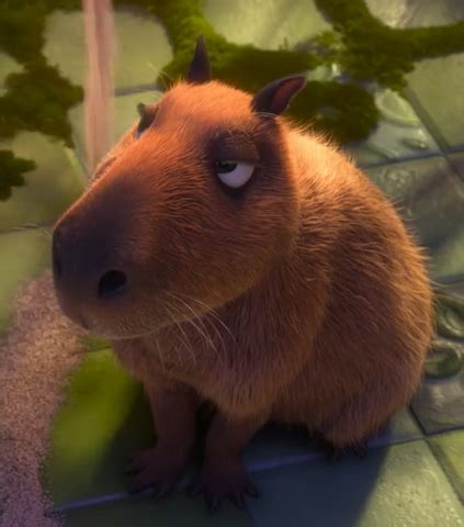 What Species is Chispi from Disney's Encanto? Unravel the Mystery of the Adorable Animal Character