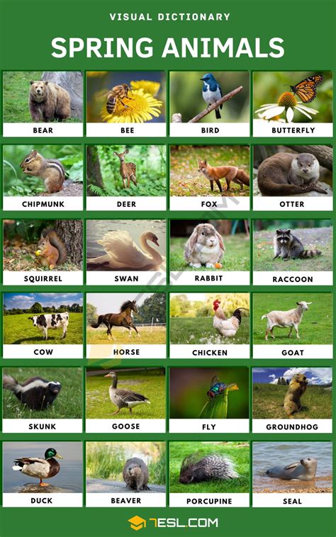 Unveiling the Mystery: Which Animal Is Not Born in Spring?