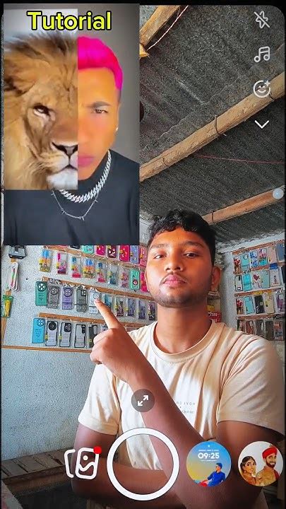 Discover Your Inner Animal: Find Out Which Creature is Your Twin! - A Fun Personality Filter Test