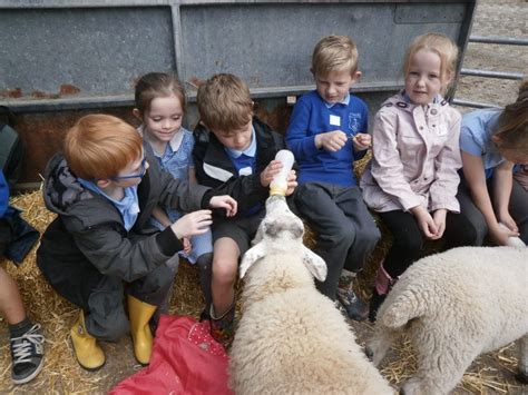 What Animals Are At Smithills Farm