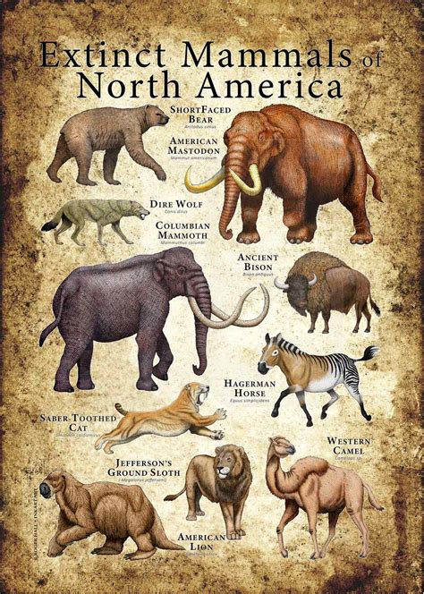 Discovering the Disappeared: A Study of Extinct Animals in North America - SEO title about extinct animals in North America.