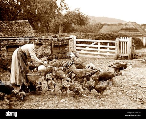 What Animals Work For A 19th Century Italian Granary Farm