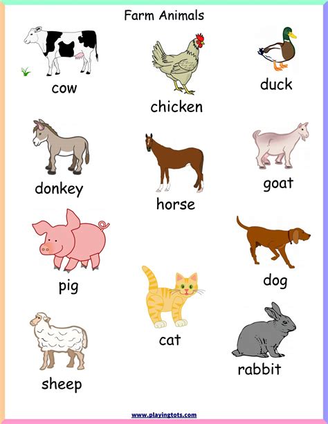 What Are Farm Animals For Class 1
