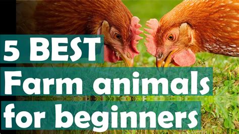 What Are The Easiest Animals To Farm