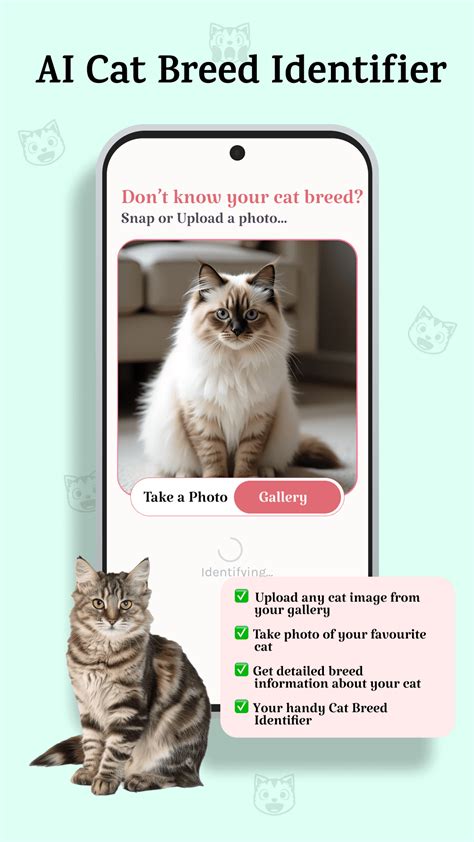 Discover Your Cat's Breed with the What Breed Is My Cat App - Get Accurate Results in Seconds!