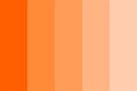 What Color Is Apricot