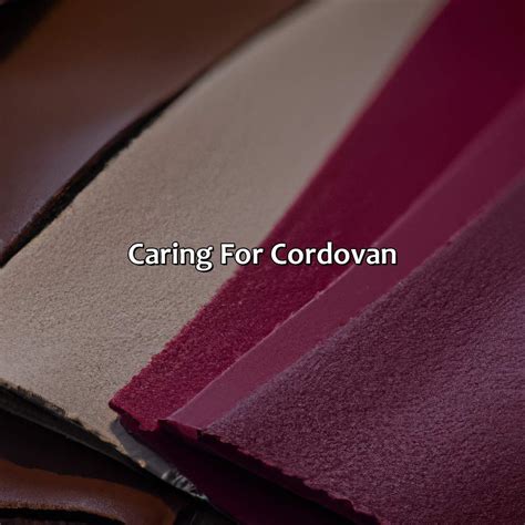 What Color Is Cordova