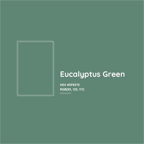 What Color Is Eucalyptus