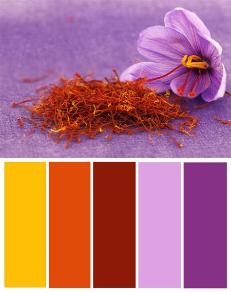 What Color Is Saffron