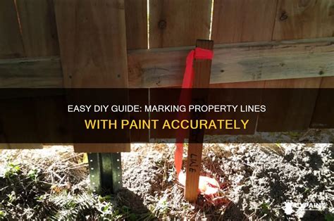 Mastering Property Placement: Discover the Perfect Paint Hue for Marking Your Land Boundaries