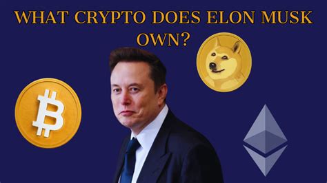 What Crypto Does Elon Musk Own