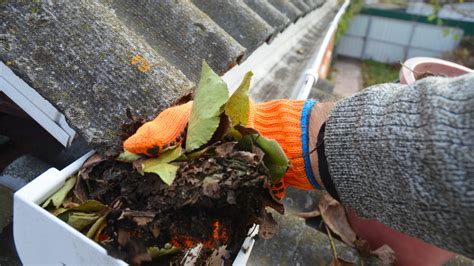 What Determines the Cost To Get Gutters Cleaned