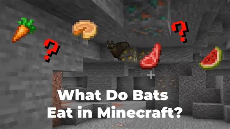 What Do Bats Eat In Minecraft