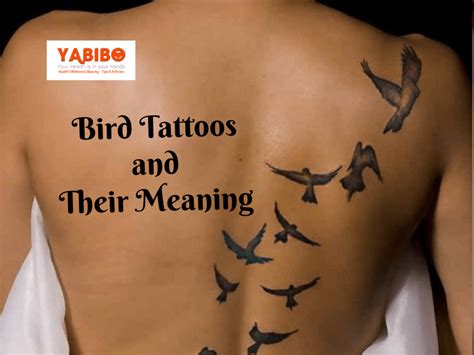 Taking a look at Bird Tattoos and Their Meaning Chronic Ink