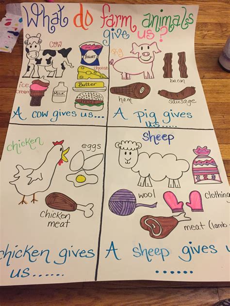 What Do Farm Animals Give Us Preschool