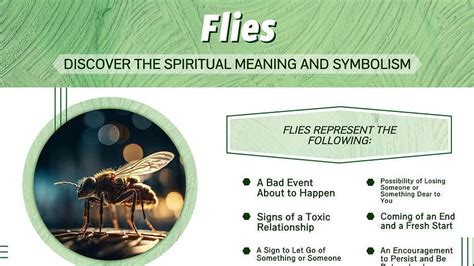 What Do Flies Represent Spiritually